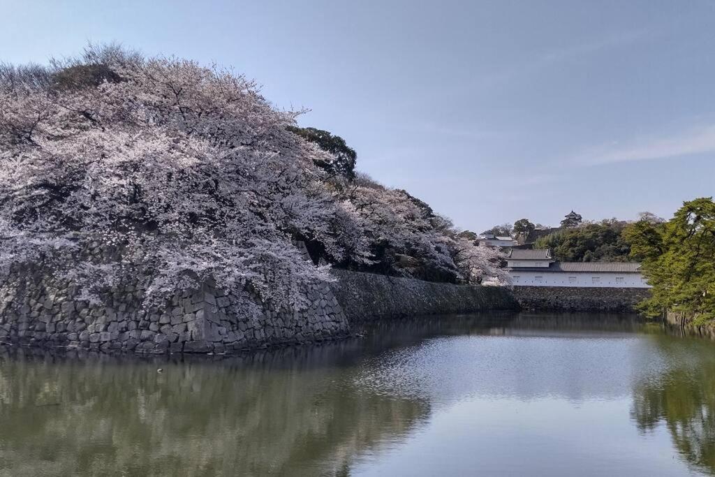 Villa Hikone Castle エクステリア 写真
